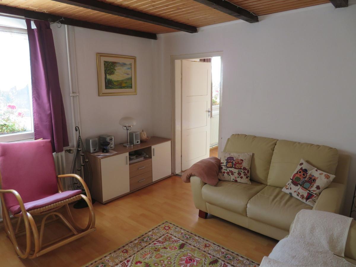 Appartement Haus Antonis à Triberg im Schwarzwald Extérieur photo